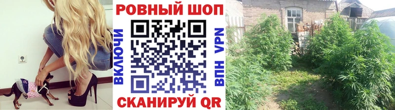 Псилоцибиновые грибы Видное