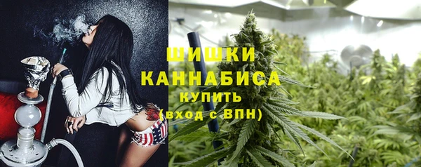 молекула духа Володарск