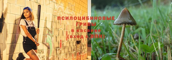 гидропоника Бугульма